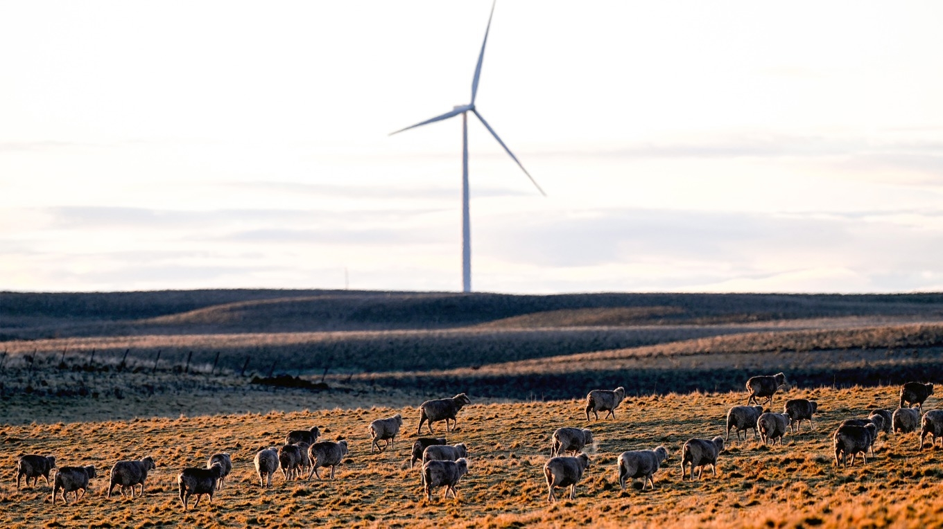 Vindkraftverk i delstaten New South Wales, Australien. Vindkraften ska växa kraftigt i landet. Foto: Saeed Khan/AFP via Getty Images