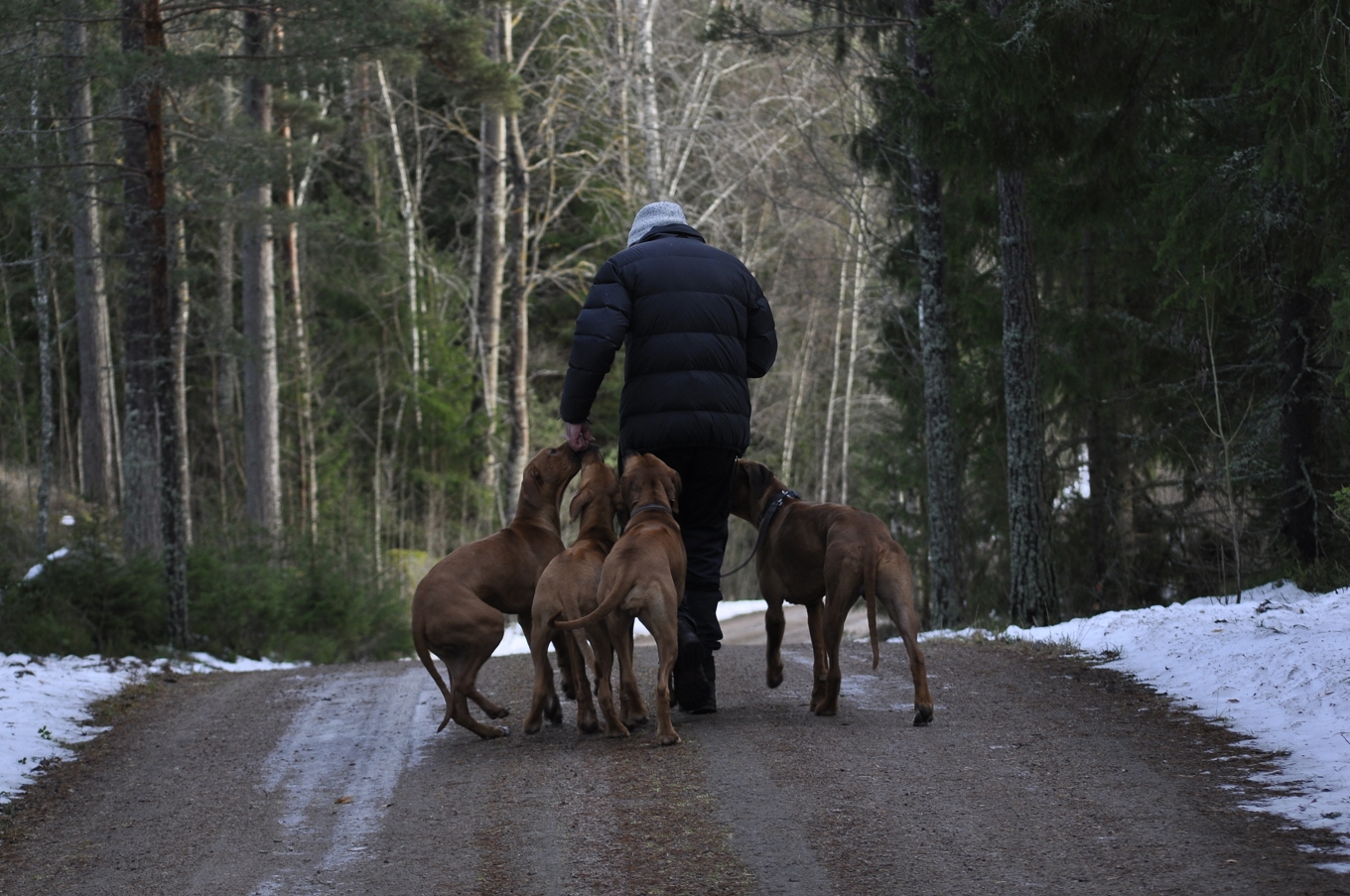 Vem möter du i din vardag, som du aldrig tar kontakt med? Foto: Mattias Eliasson