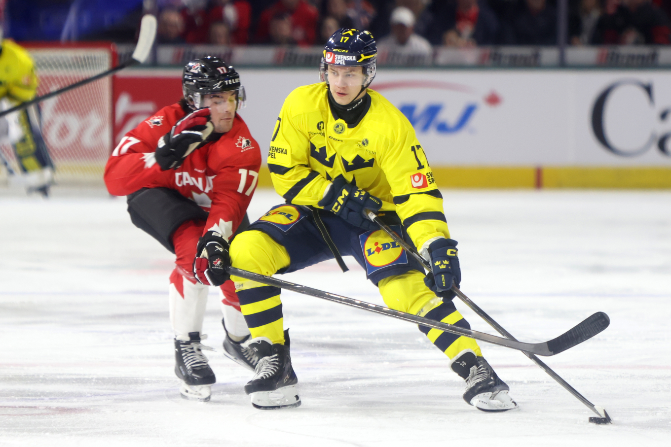 Sveriges Valter Lindberg i närkamp med Kanadas Jett Luchanko. Foto: Nicole Osborne/AP/TT