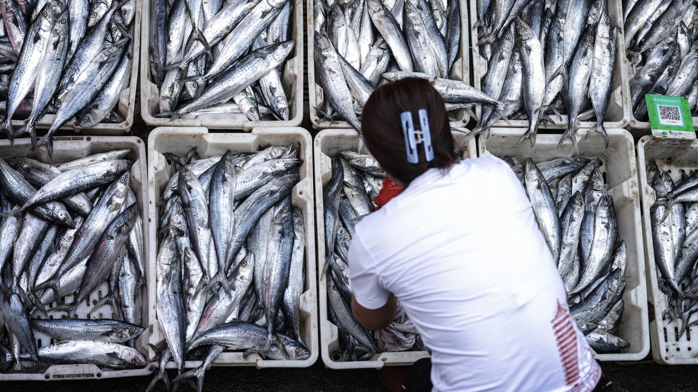 En fiskförsäljare i Shenyang i den kinesiska Liaoningprovinsen den 9 september 2024. Foto: STR/AFP via Getty Images