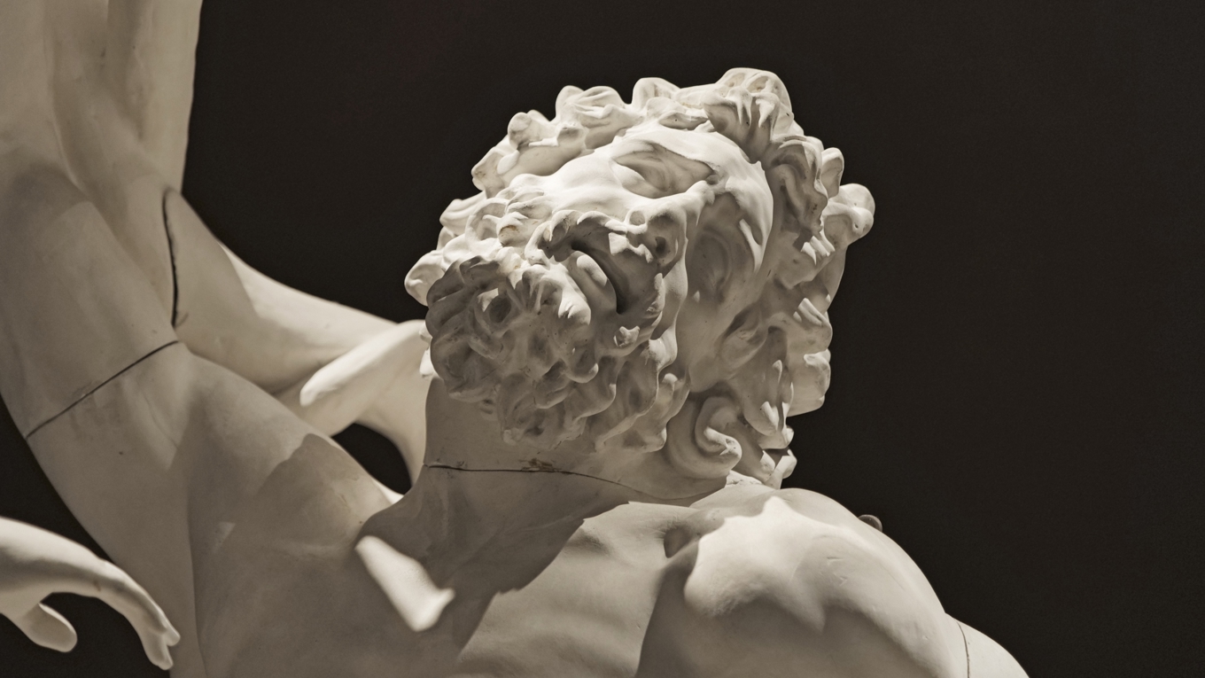 Uttrycket i prästen Laokoons ansikte i den antika skulpturen har väckt konsthistoriska frågor. Foto: Marcus Strand