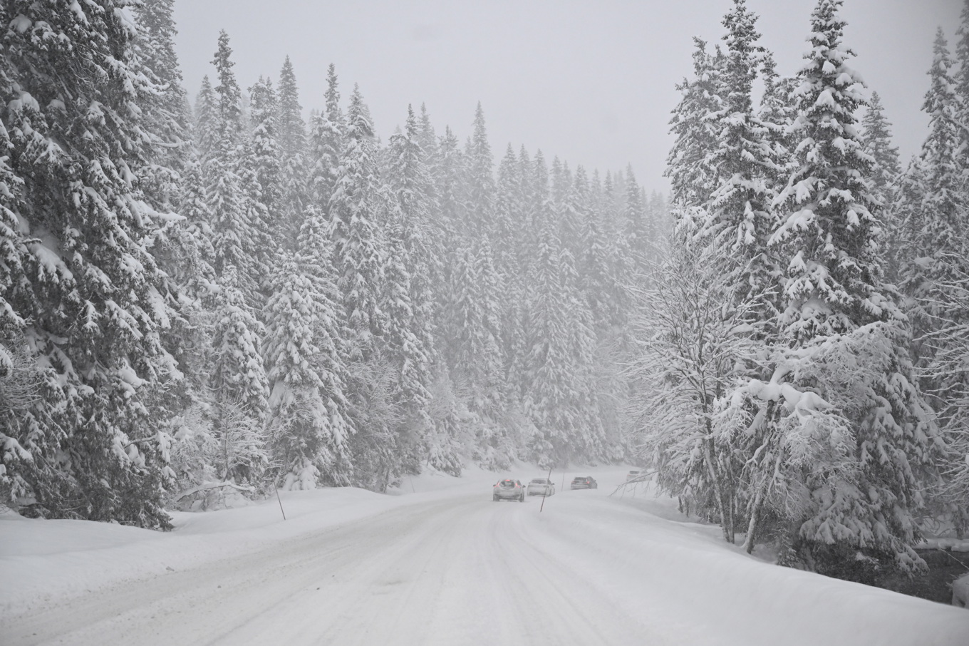 Kallare väder väntas ta över i stora delar av landet i veckan. Arkivbild. Foto: Henrik Montgomery/TT