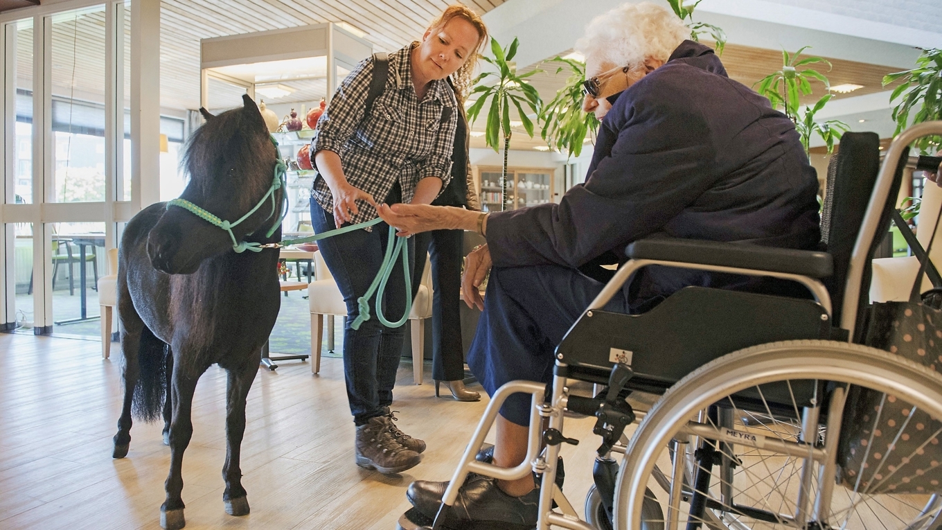 En kvinna får en terapistund med besök av en ”terapihäst” på ett äldreboende. Hästen hjälper äldre, som ofta lider av demens, att komma i kontakt med omvärlden. Foto: Piroschka van de Wouw/Getty Images