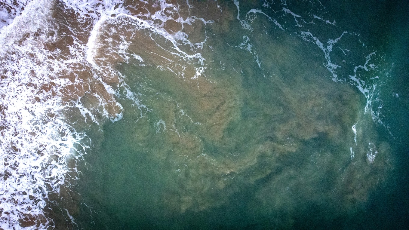Havsströmmar. Foto: Martin Bertrand/Hans Lucas/AFP via Getty Images