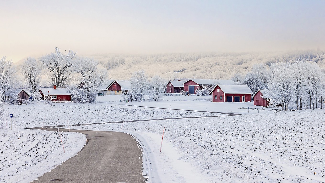 Krönikören vill se att lands- och glesbygd får betalt för sina resurser som hela Sverige har nytta av. Foto: Lasse Johansson/Shutterstock
