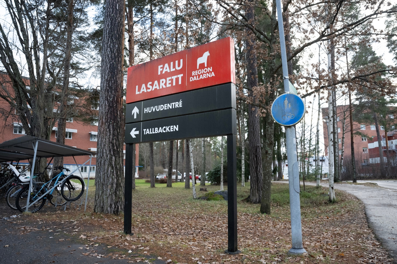 Ett av fallen som kopplas till Cosmic inträffade i Falun i januari. Foto: Fredrik Sandberg/TT
