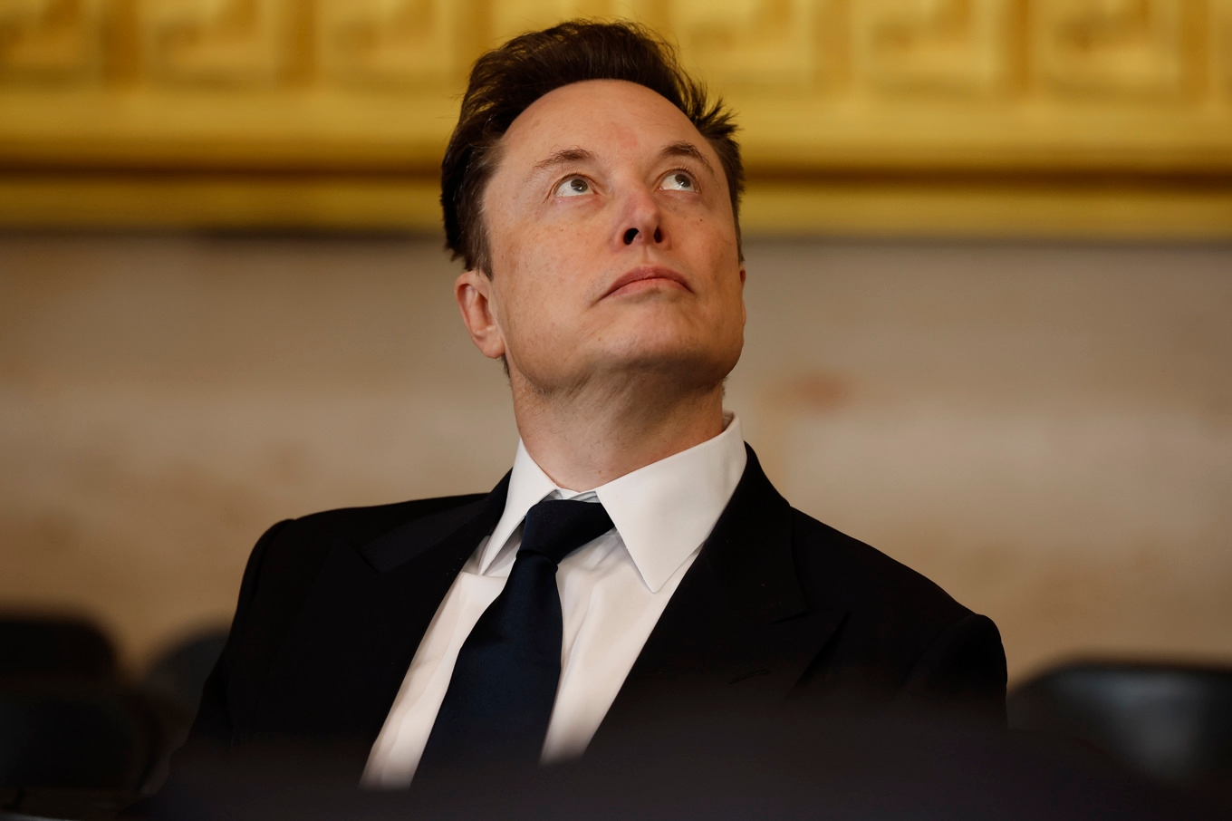 Elon Musk blickar alltid uppåt - och framåt. Nu verkar det som om världens rikaste man kommer att bli ännu rikare. Elon Musk tar nu SpaceX till börsen.
Foto: Chip Somodevilla/Getty Images