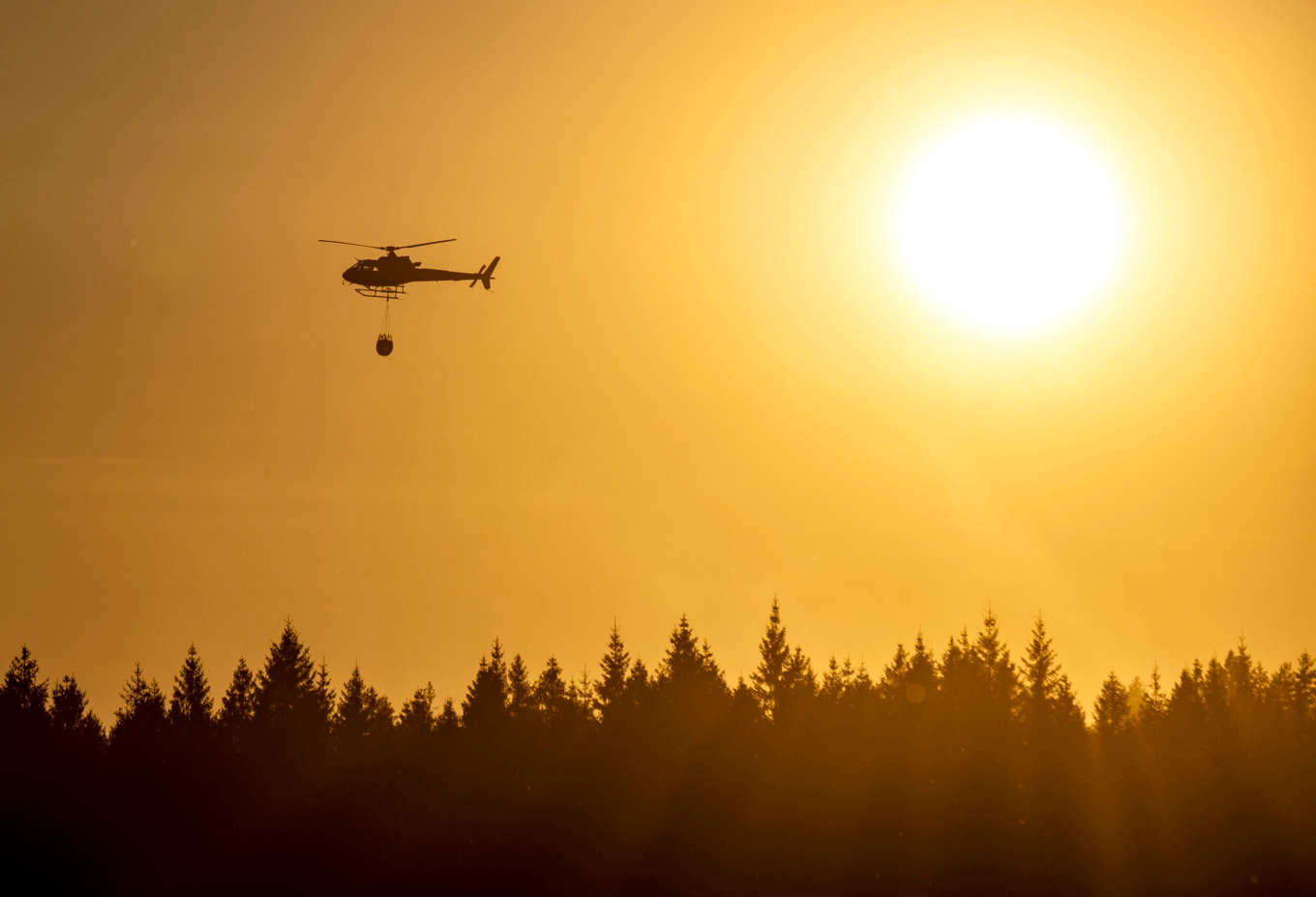 SMHI varnar för skogsbrand. Arkivbild. Foto: Johan Nilsson/TT