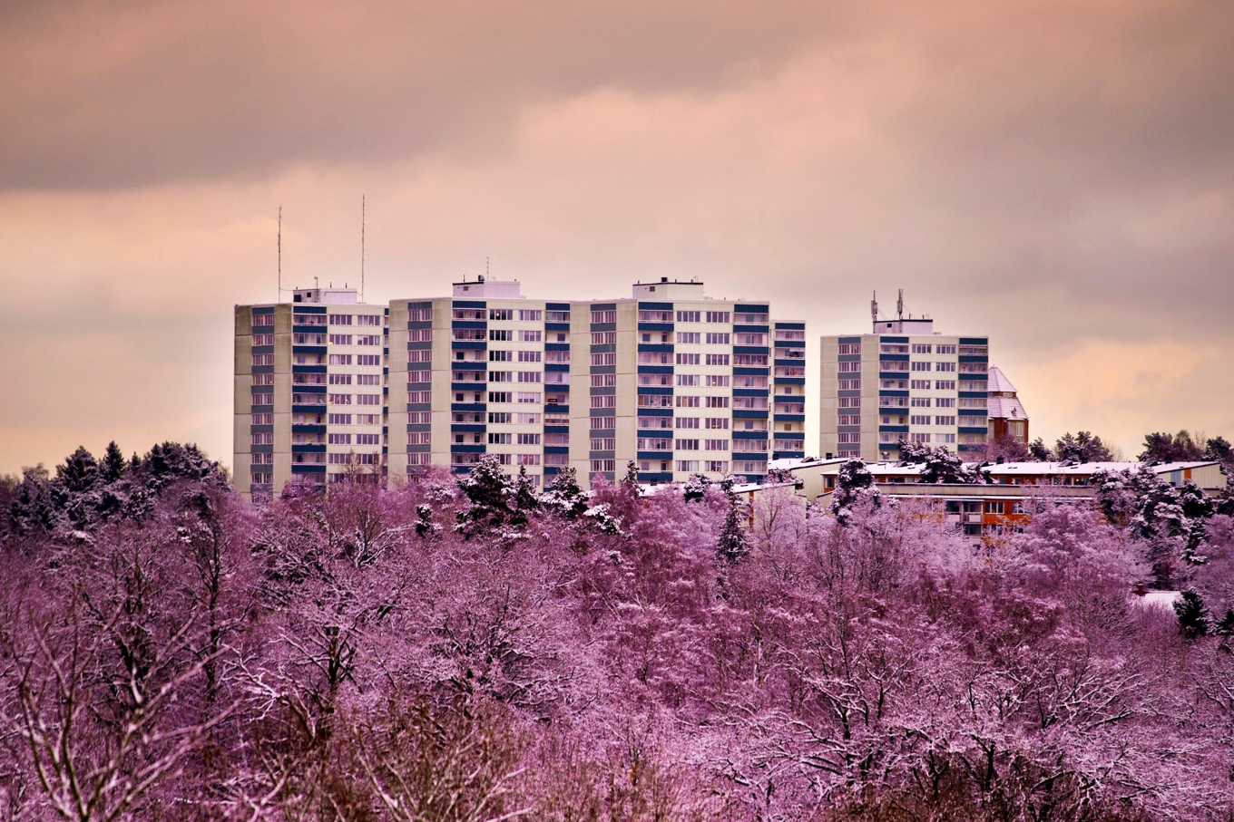 ”Mina drömmars land” är en serie med sex olika kortfilmer om Sverige vid mitten av 2020-talet. foto: Salim Alsabbagh