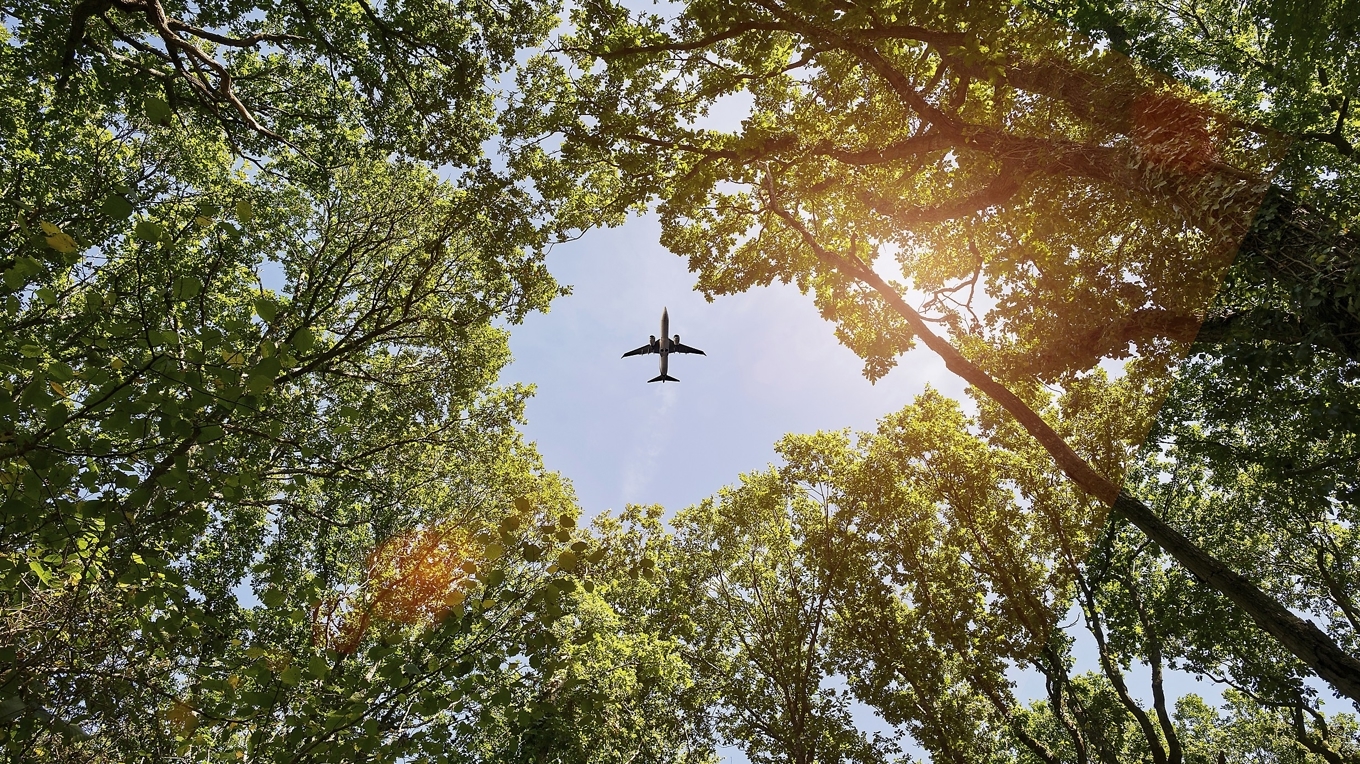 Både rötterna och skyn har en dragningskraft på människan, men för att inte slitas itu måste hon bestämma sig för det ena. Foto: Wilkopix/Shutterstock