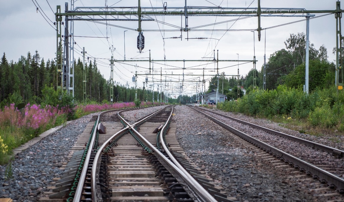 Många svenskar reser med tåg i sommar. Foto: Bilbo Lantto