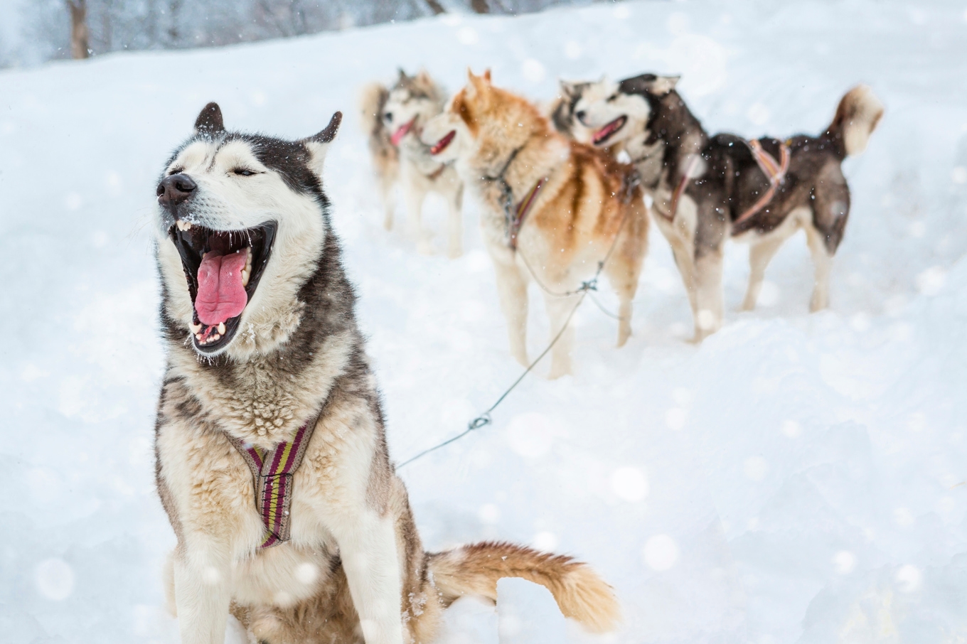 Medarbetarna ser dig, läser kroppsspråk, tolkar humör, noterar om du verkar trött eller spänd och anpassar sitt beteende därefter. Foto: Shutterstock