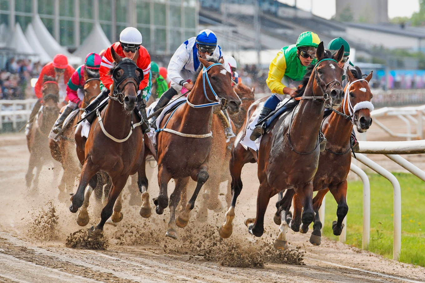 På söndag rids Svenskt Derby på Jägersro i Malmö. Det blir det näst sista galoppderbyt på banan. Foto: Stefan Olsson/Svensk Galopp