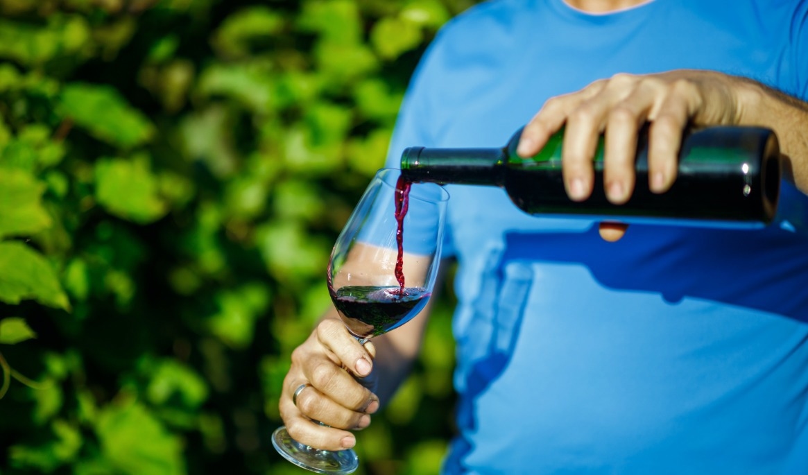 Polens vinregioner lockar allt fler vinälskare med moderna vingårdar, gastronomi och eleganta viner. Foto: Polska turistbyrån