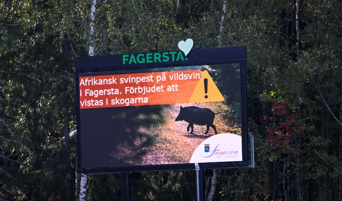 Skylt uppsatt av Fagersta kommun med förbud mot att vistas i skogarna i samband med den afrikanska svinpesten. Foto: Pontus Lundahl/TT