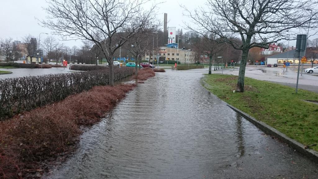 Det var höga vattenflöden i bland annat Uddevalla under gårdagen. Men natten har varit lugn, enligt räddningstjänsten Mitt Bohuslän. (Foto: Göran Sjögren /TT)