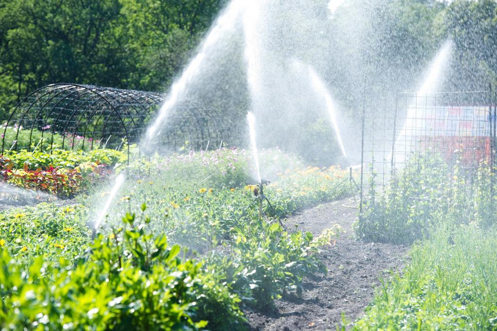 Nej, inga vattenspridare på Gotland i sommar. (Foto: FredrikSandberg / TT-arkivbild)