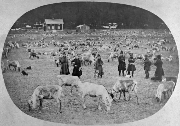 Sydsamer i Åseletrakten. (Foto: Västerbottens museum)