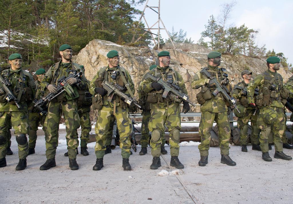 Arbetet med att utforma framtidens försvar har påbörjats i försvarsberedningen. På bilden soldater ur 203:e amfibieskyttekompaniet under den nationella övningen Swenex 2016. (Foto: Fredrik Sandberg /TT-arkivbild)