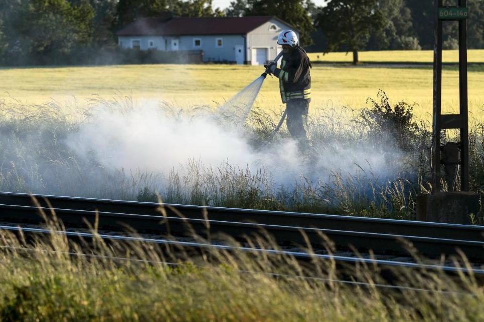 

SMHI varnar för hårda vindar i fjällen och längst i söder. I södra Sverige är det också risk för gräsbränder.  Foto: Johan Nilsson/TT-arkivbild                                                                                        