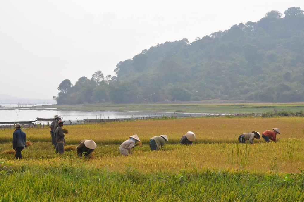 


Översvämningen förstörde grödor och odlingsmark i Vietnam. Bilden är tagen i ett annat sammanhang.  Foto: Gustav Sjöholm/TT-arkivbild                                                                                        