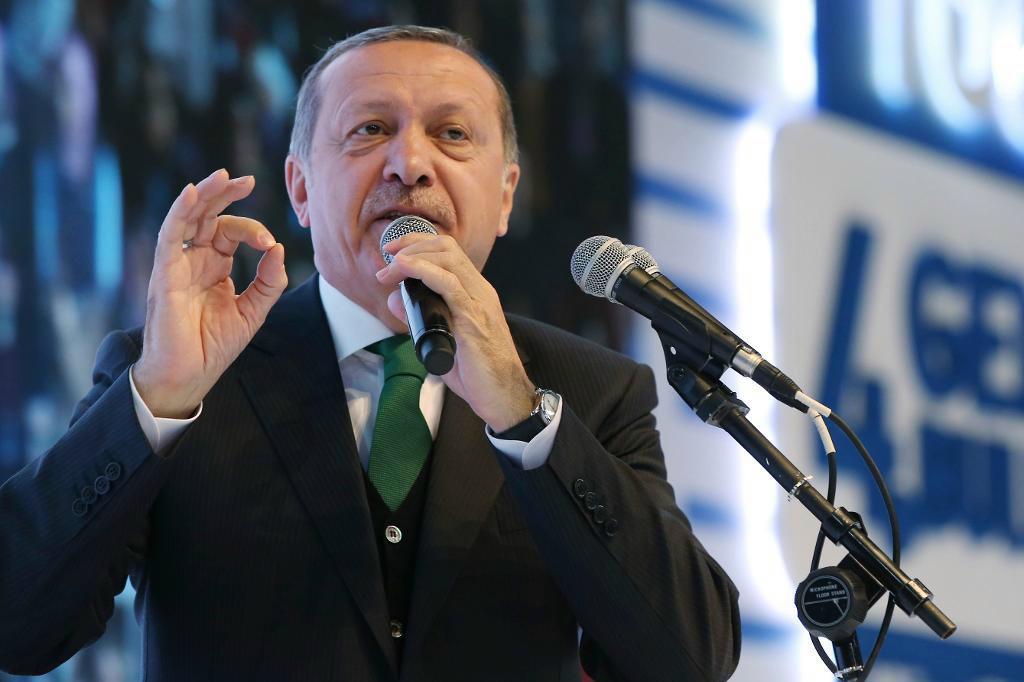 
En svensk gren till president Recep Tayyip Erdogans regeringsparti AKP uppges kartlägga regimkritiker i Sverige. Foto: Yasin Bulbul-arkivbild                                            