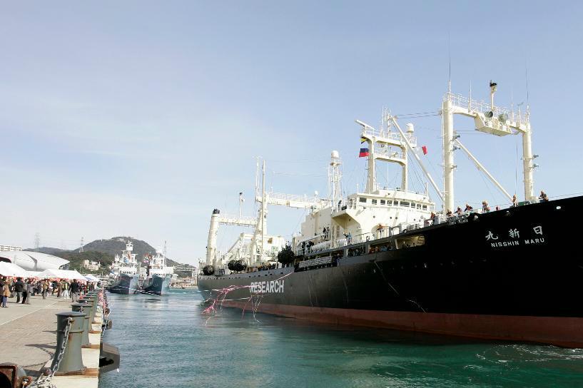 Det japanska valfångstfartyget Nisshin Maru, som deltagit i årets jakt. Foto: Shizuo Kambayashi/AP/TT-arkivbild