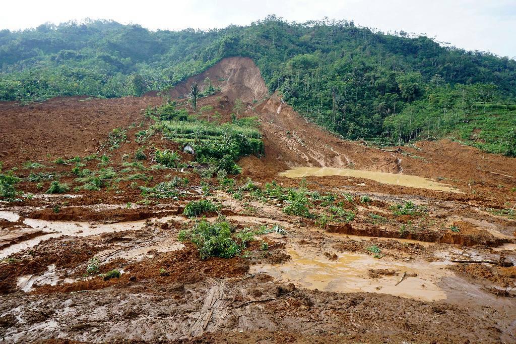 Förödelse efter ett tidigare jordskred i Indonesien. Arkivbild. Foto:
Bayu Nur/AP/TT