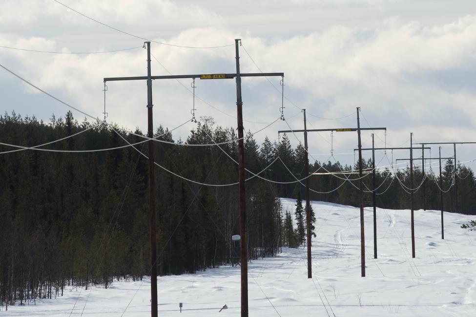 

Luftburna elledningar utanför Pajala i Norrbotten. Arkivbild. Foto: Fredrik Sandberg/TT                                                                                        