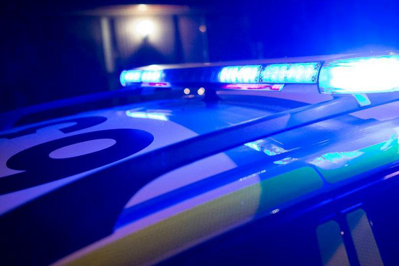 
En man har hittats död utanför Sundsvall. Foto: Johan Nilsson/TT-arkivbild                                            