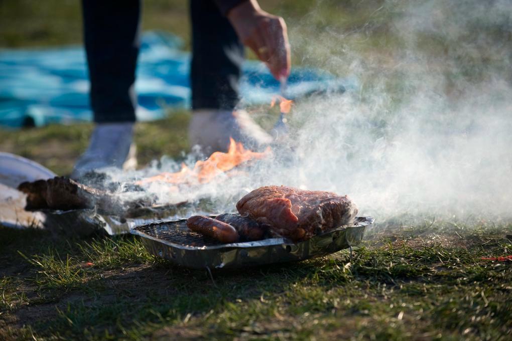 
Var försiktig med grillar på torrt gräs från i fjol. Foto: Fredrik Sandberg/TT-arkivbild                                            