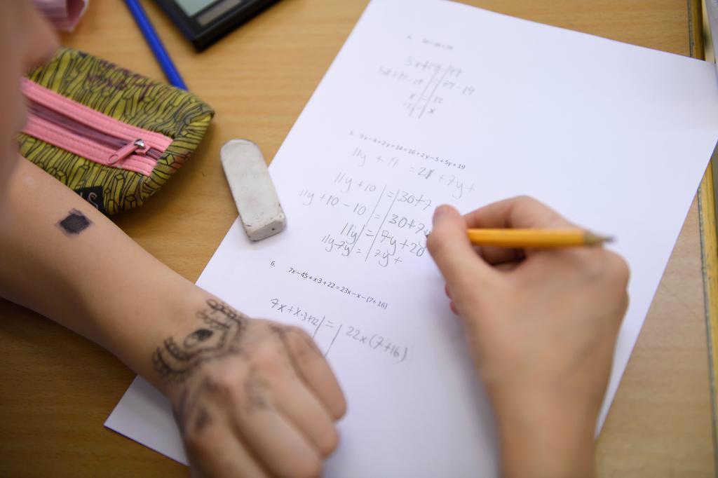 
Många svenska elever känner sig ensamma i skolan. Foto: Henrik Montgomery/TT-arkivbild                                            