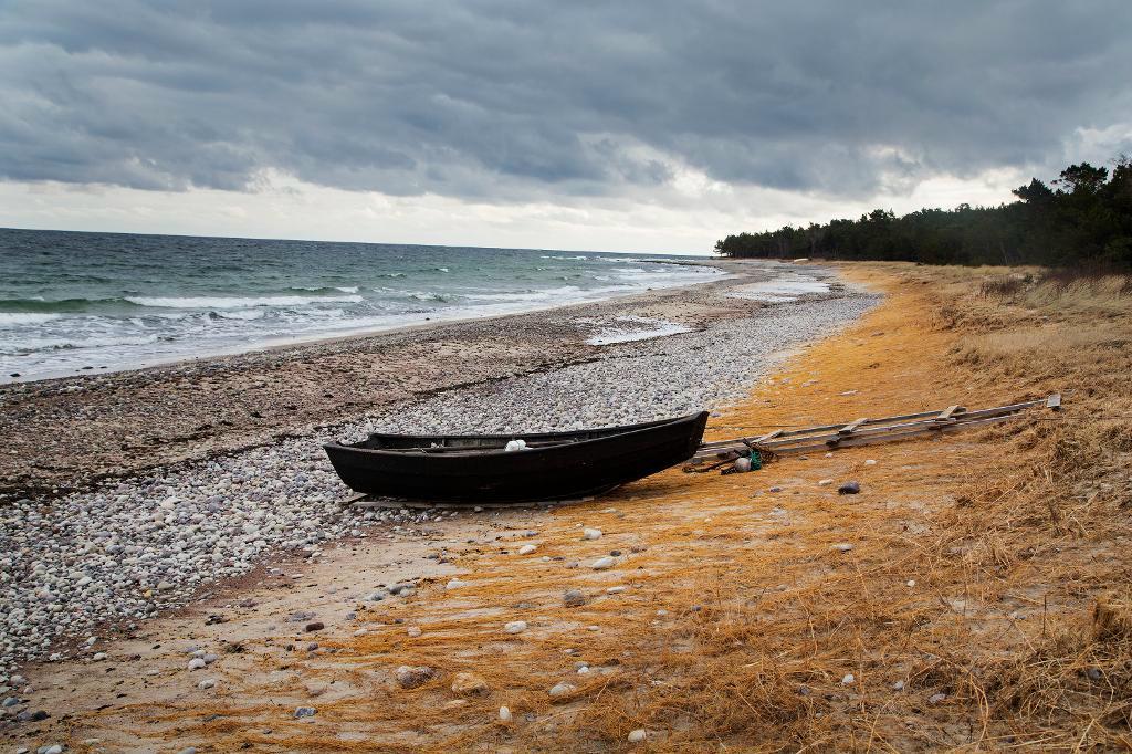 


Drygt 21 500 hushåll på Öland är strömlösa. Foto: TT-arkivbild                                                                                                                                    