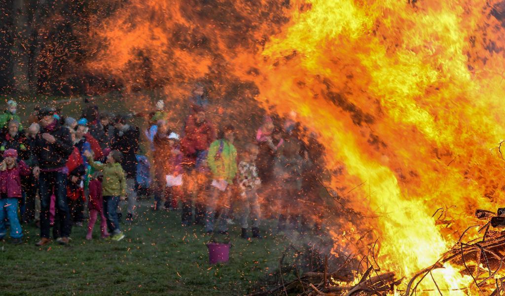 
Majbrasor är varma och härliga att titta på. Men i år är det torrt i gräset. Foto: Jessica Gow/TT. Arkivbild                                            