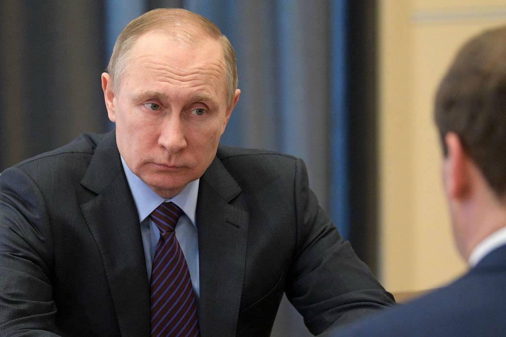 
Rysslands president Vladimir Putin är positiv till skärpta huliganlagar inför nästa års fotbolls-VM. Foto: Alexei Druzjinin/AP/TT
                                            