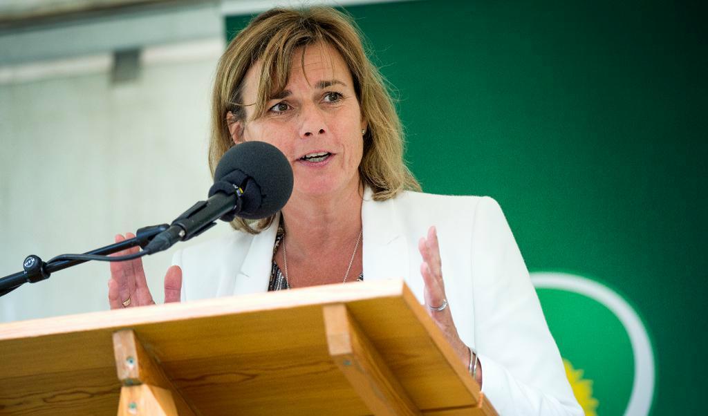 
Miljöpartiets språkrör Isabella Lövin. Foto: Ulf Palm/TT-arkivbild                                            