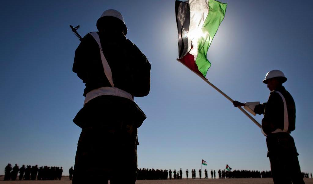 
Soldater från västsahariska Polisario under en militärparad i staden Tifariti. Foto: Arturo Rodriguez/AP/TT-arkivbild                                            