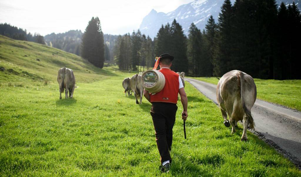 
EU bidrar med 120 miljoner euro till trådlös uppkoppling i glesbygden. Foto: Gian Ehrenzeller/TT/AP-arkivbild                                            