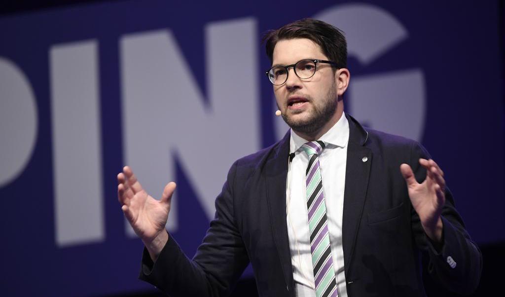 Sverigedemokraterna ska vara den pragmatiska kraften i svensk politik, anser Åkesson. Foto: Pontus Lundahl/TT