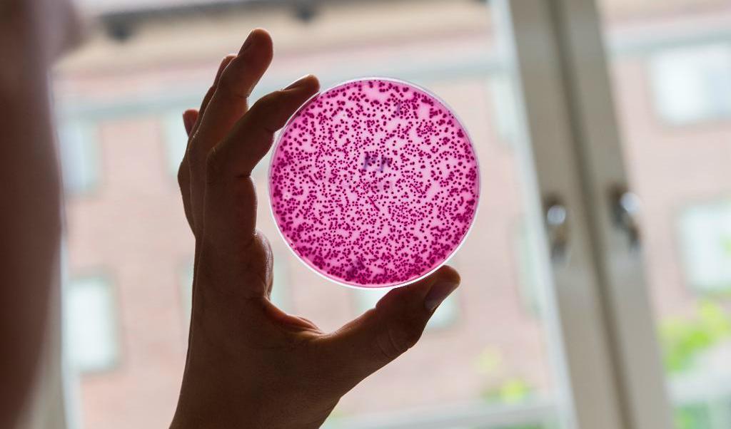 
Antibiotikaresistens är ett problem som blir allt större i Sverige. Foto: TT-arkivbild                                            
