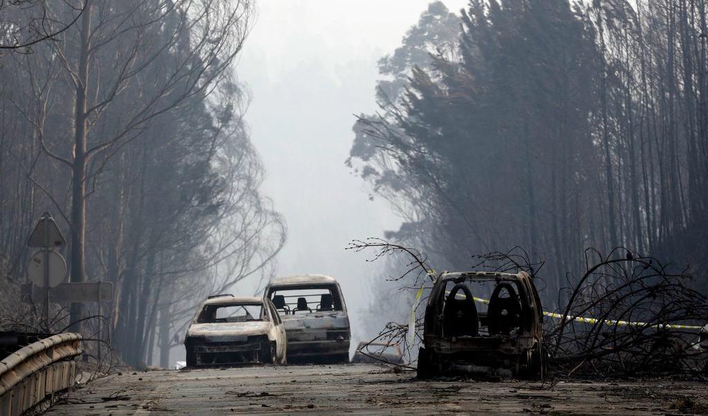 

Utbrunna bilskelett i spöklandskapet på vägen mellan Castanheira de Pera och Figueiró dos Vinhos i centrala Portugal.
Foto: Armando Franca/AP/TT                                                                                        