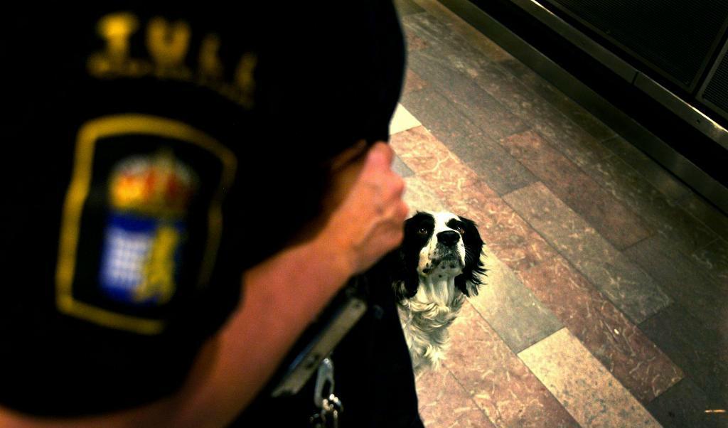 
Två av tullens hundar nosade i januari upp en knarkgömma i mångmiljonklassen i en bil. Två män åtalas nu vid Karlstads tingsrätt. Foto: Patrick Sörquist-arkivbild                                            