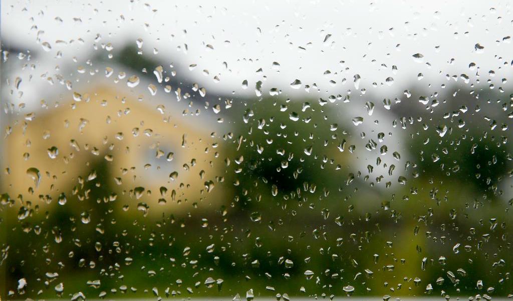 
Även om det blir en regnig sommar förblir grundvattnet lågt, förutspår hydrologer. Arkivbild. Foto: Terje Pedersen Scanpix/TT                                            
