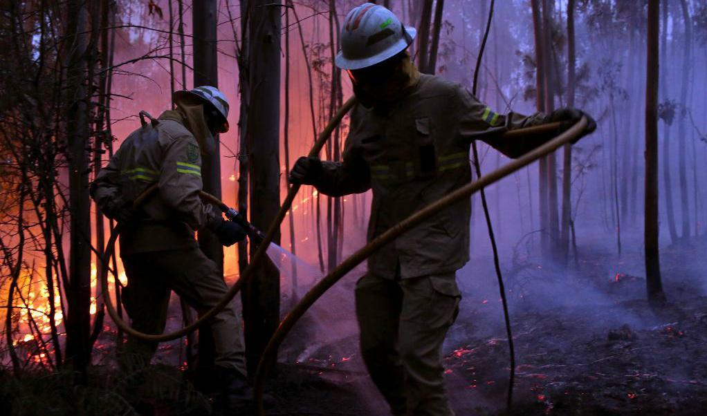 
Tusentals brandmän försöker släcka bränderna i Portugal. Foto: Armando Franca/AP/TT                                            