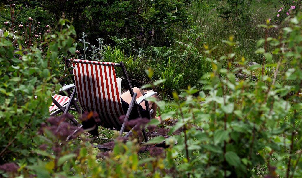 
Det blir blandad väderkompott de kommande dagarna i landet. Foto: TT-arkivbild                                            