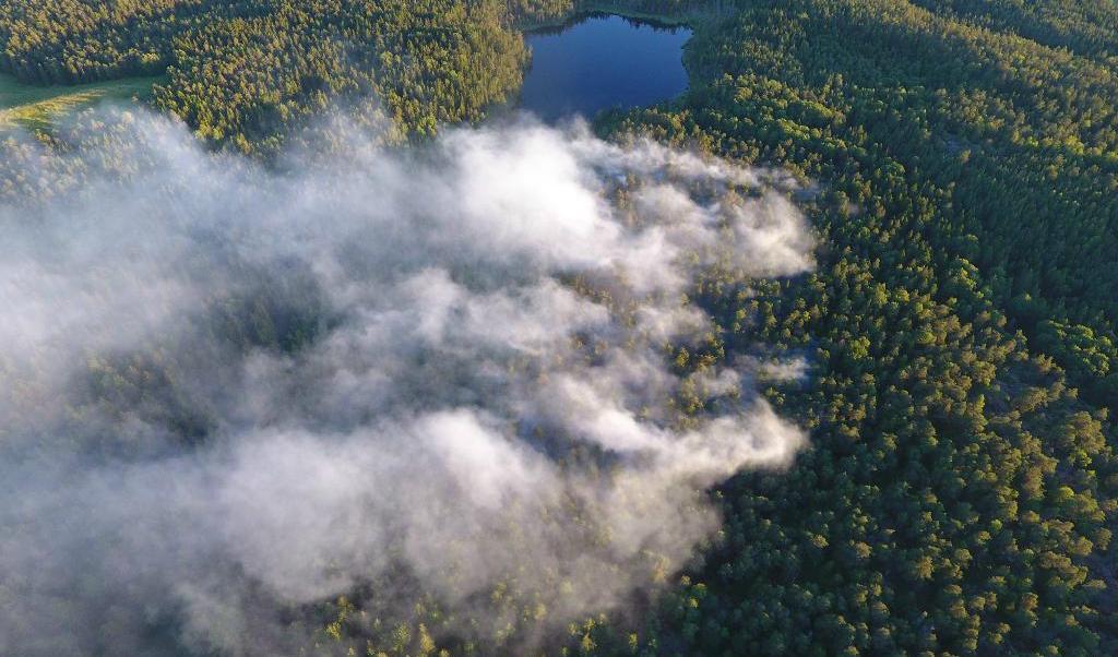Räddningstjänsten bekämpade en skogsbrand utanför Gladö kvarn i Huddinge, söder om Stockholm, under eftermiddagen och kvällen. Foto: Södertörns brandförsvarsförbund.