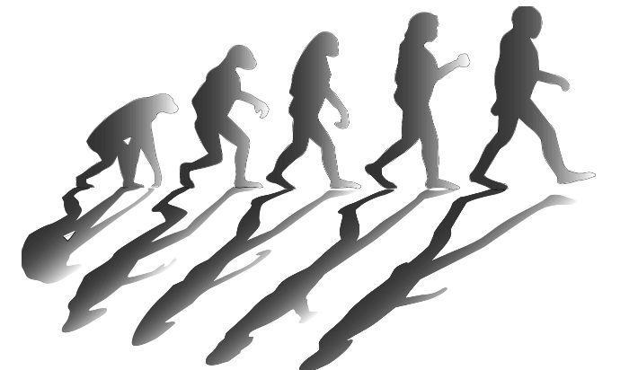 
Kraniet från Dali visar att Homo Sapiens fanns i Kina 60 000 år innan man tror att de hade utvecklats i Afrika.                                             