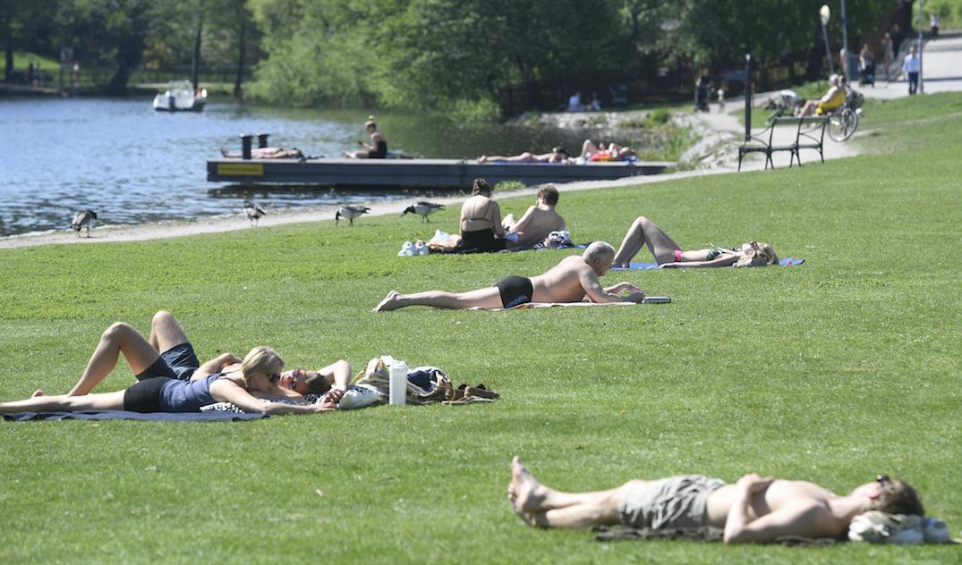 



Solbadandet lär fortsätta lite här och var även i dag. Foto: Fredrik Sandberg/TT/Arkivbild.                                                                                                                                                                                