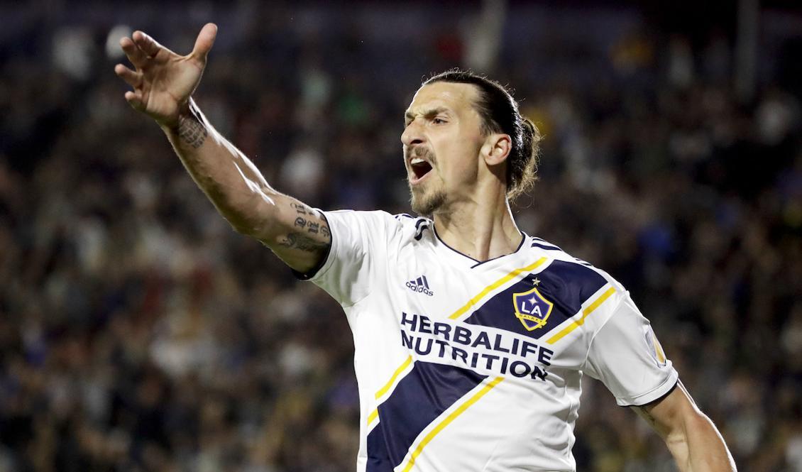 


Zlatan Ibrahimovic. Foto: Chris Carlson/AP/TTArkivbild                                                                                                                                    