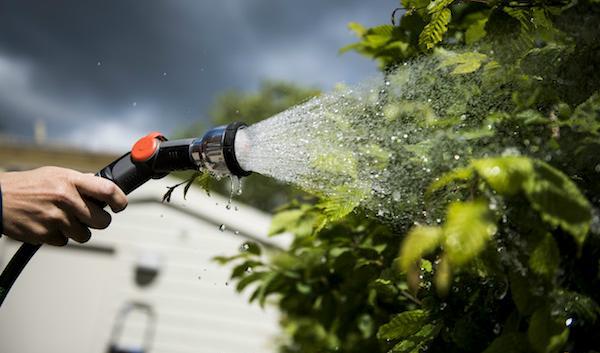 
Bevattningsförbud införs i allt fler kommuner på grund av värmen och torkan. Foto: Pontus Lundahl/TT/Arkivbild                                            